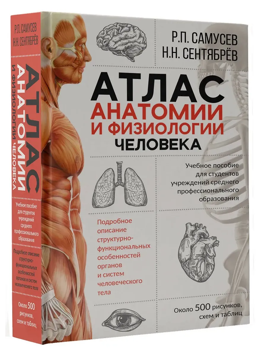 Атлас анатомии и физиологии человека. Учебное пособие для студентов учреждений среднего профессионал