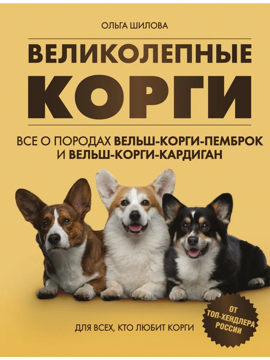 Великолепные корги. Все о породах вельш-корги-пемброк и вельш-корги-кардиган