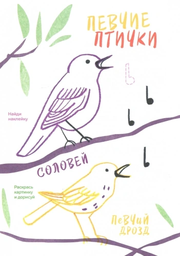 Креативная раскраска с наклейками "Птицы"- купить в магазине Кассандра, фото, 9785604132401, 