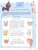 Импортировано из Wildberries Импортировано из Wildberries