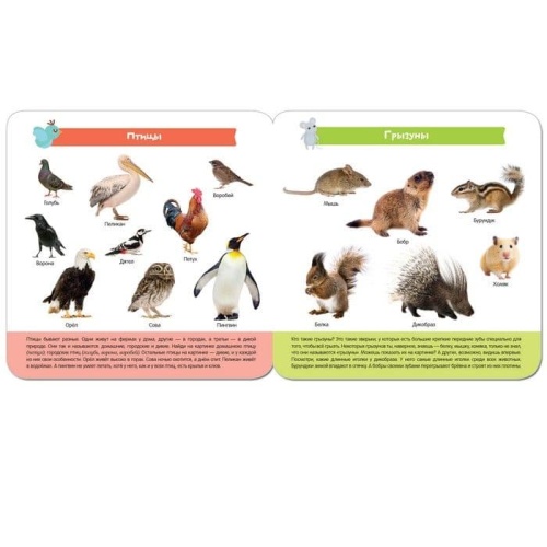 Малышарики. Курс раннего развития 3+.  Мир животных- купить в магазине Кассандра, фото, 9785431514302, 