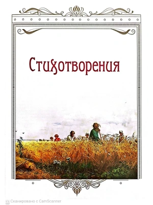 Импортировано из Wildberries