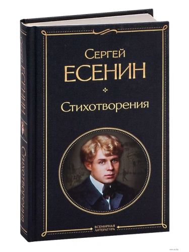 Стихотворения- купить в магазине Кассандра, фото, 9785041178963, 