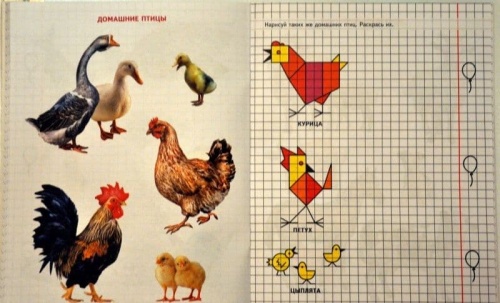 Геометрия вокруг нас. Рисование по клеточкам для детей 5?7 лет- купить в магазине Кассандра, фото, 9785994910351, 