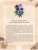Импортировано из Wildberries Импортировано из Wildberries