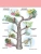 Импортировано из Wildberries Импортировано из Wildberries