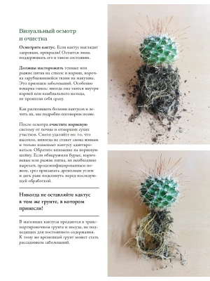 Фотография из отзыва покупателя
