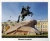 Города моей страны. Санкт-Петербург.12 демонстрационных картинок с текстом (210х250)- купить в магазине Кассандра, фото, 9785994932124, 