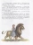 Волшебник Изумрудного города (ил. А. Власовой)- купить в магазине Кассандра, фото, 9785699990474, 