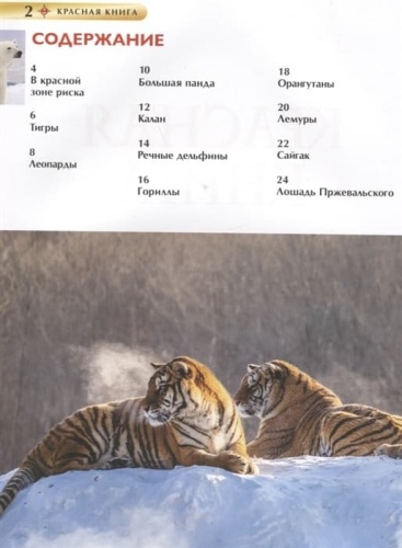 Красная книга. Детская энциклопедия- купить в магазине Кассандра, фото, 9785353102922, 