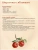 Импортировано из Wildberries Импортировано из Wildberries