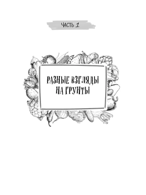 Фотография из отзыва покупателя