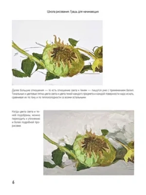 Импортировано из Wildberries