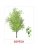 Импортировано из Wildberries Импортировано из Wildberries