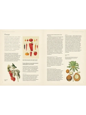 Импортировано из Wildberries