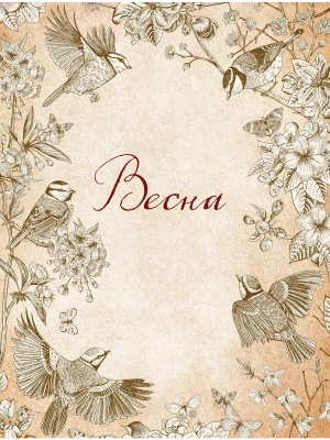 Импортировано из Wildberries