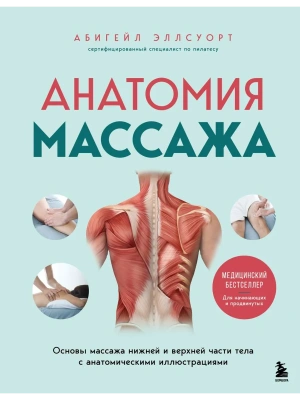 Анатомия массажа. Основы массажа нижней и верхней части тела с анатомическими иллюстрациями — фото, ISBN 9785042261572