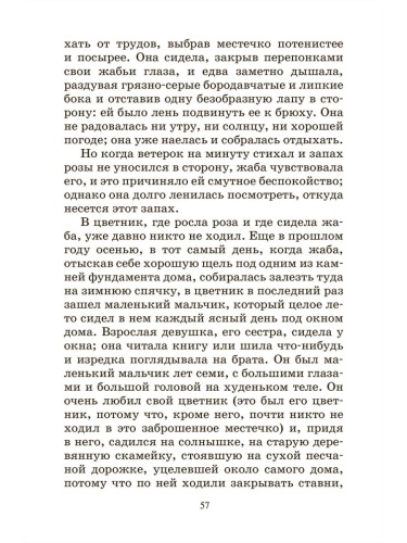 Красный цветок. Сказки и рассказы.- купить в магазине Кассандра, фото, 9785907546448, 
