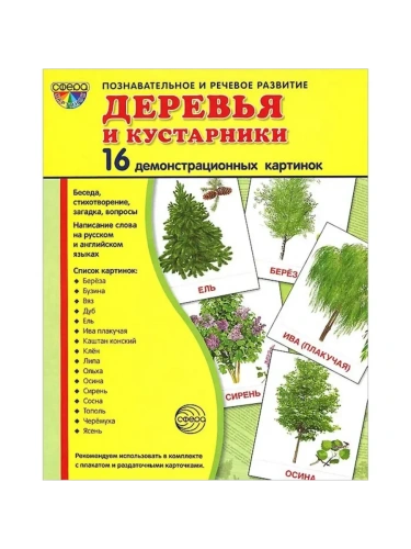 Дем. картинки СУПЕР Деревья и кустарники.16 демонстр.картинок с текстом (173х220мм)- купить в магазине Кассандра, фото, 9785994910153, 