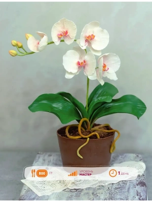 Импортировано из Wildberries