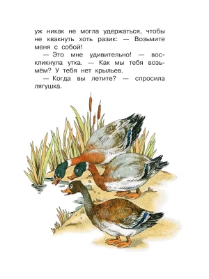 Импортировано из Wildberries