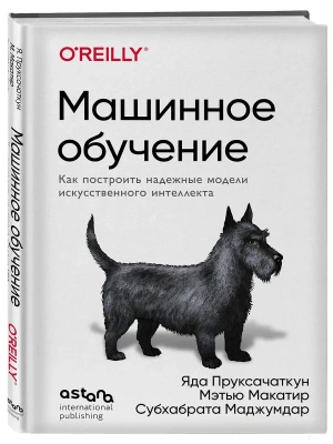 Машинное обучение. Как построить надежные модели искусственного интеллекта- купить в магазине Кассандра, фото, 9786011260190, 