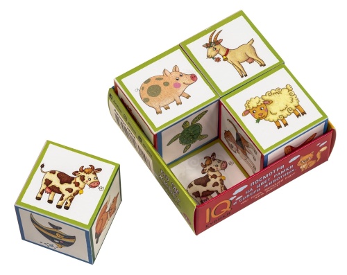 Умные кубики в поддончике. 4 штуки. Кто где живёт- купить в магазине Кассандра, фото, 9785811280148, 