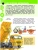 Импортировано из Wildberries Импортировано из Wildberries