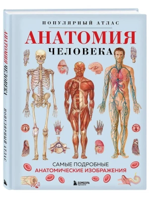 Анатомия человека. Популярный атлас. Самые подробные анатомические изображения- купить в магазине Кассандра, фото, 9785041980351, 