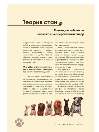 Дрессировка и воспитание собаки- купить в магазине Кассандра, фото, 9785042128219, 