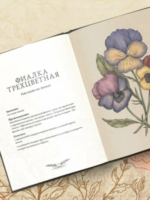 Фотография из отзыва покупателя