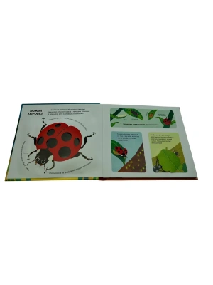 Импортировано из Wildberries