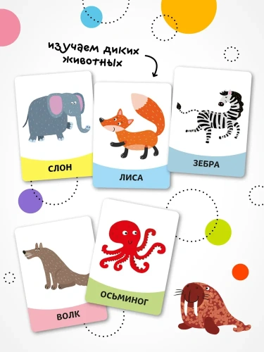 Развивающие карточки. Животные- купить в магазине Кассандра, фото, 9785431535437, 