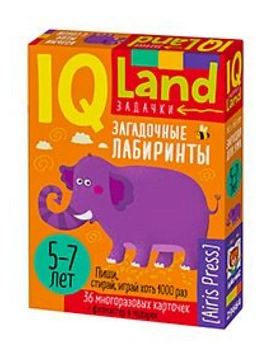 IQ Многоразовые карточки с маркером.5+ Загадочные лабиринты — фото, ISBN 9785811287376