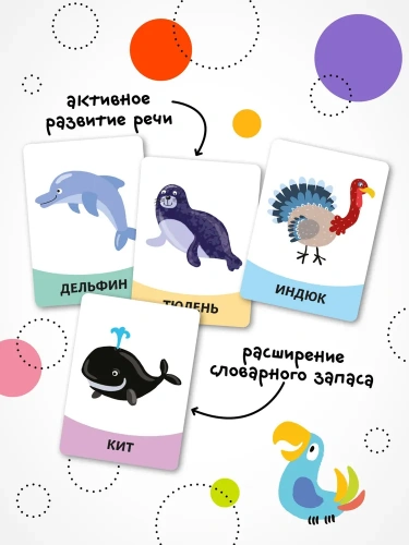 Развивающие карточки. Животные- купить в магазине Кассандра, фото, 9785431535437, 