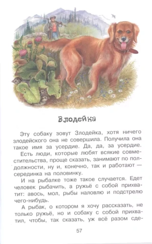 Конь с розовой гривой- купить в магазине Кассандра, фото, 9785171223250, 