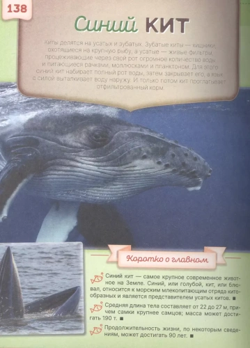 Первая книга о животных. 1000 фотографий- купить в магазине Кассандра, фото, 9785171352615, 