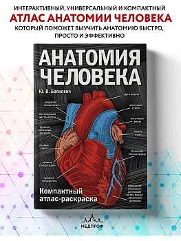 Анатомия человека: компактный атлас-раскраска - купить в магазине Кассандра, фото, 9785699986484, 
