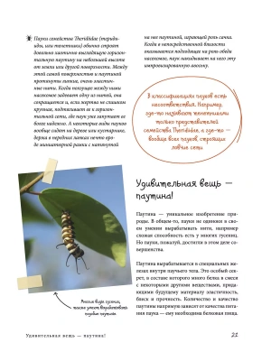Импортировано из Wildberries