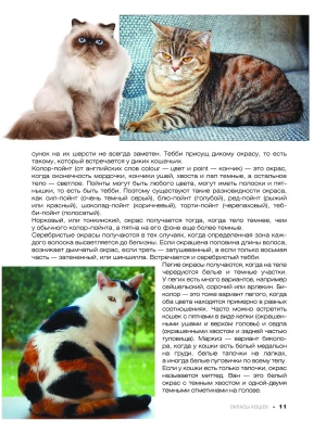 Фотография из отзыва покупателя