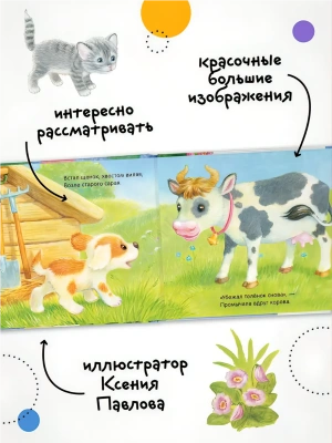 Фотография из отзыва покупателя