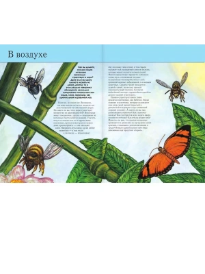 Импортировано из Wildberries
