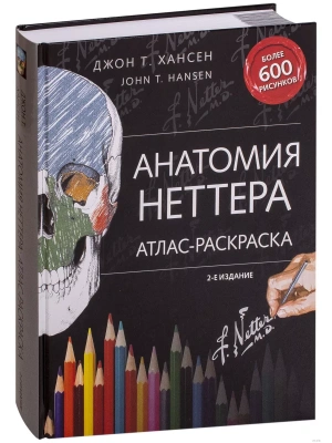 Анатомия Неттера: атлас-раскраска — фото, ISBN 9785699991044