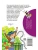 Импортировано из Wildberries Импортировано из Wildberries