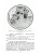 Импортировано из Wildberries Импортировано из Wildberries