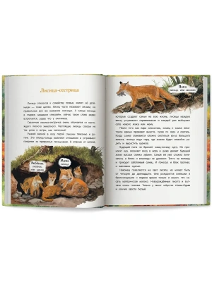 Импортировано из Wildberries