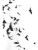 Импортировано из Wildberries Импортировано из Wildberries