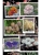 Импортировано из Wildberries Импортировано из Wildberries
