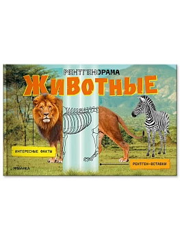 Рентгенорама. Животные - купить в магазине Кассандра, фото, 9785431546853, 
