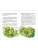 Импортировано из Wildberries Импортировано из Wildberries